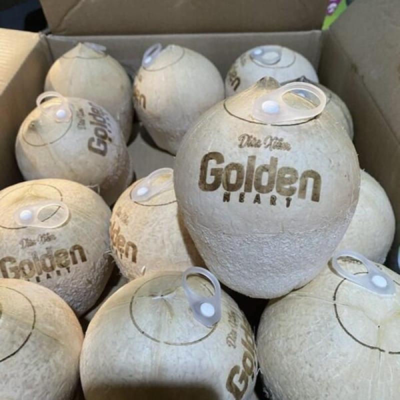 Coconut Whole/ Dừa Xiêm